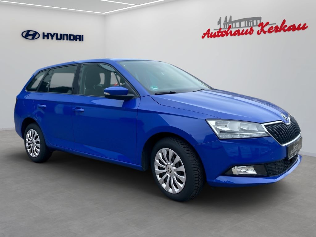 Fahrzeugabbildung SKODA Fabia Combi 1.0 TSI Ambition