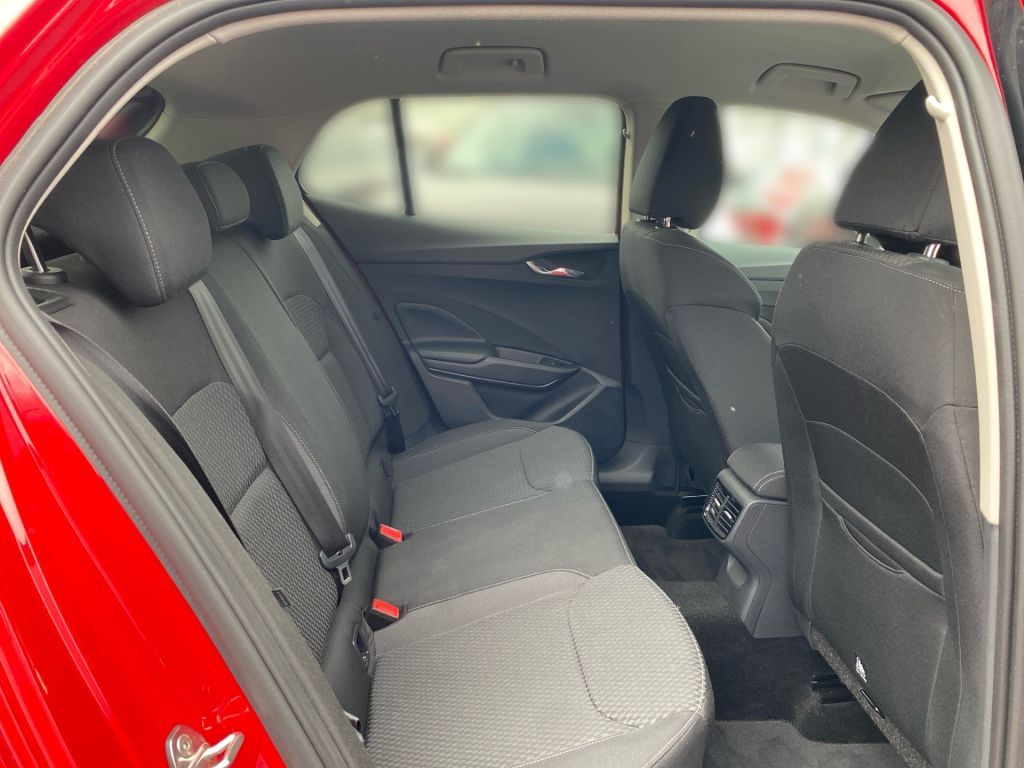 Fahrzeugabbildung SKODA Fabia 1.0 TSI Style +Business P.+ LED+ Apple Car