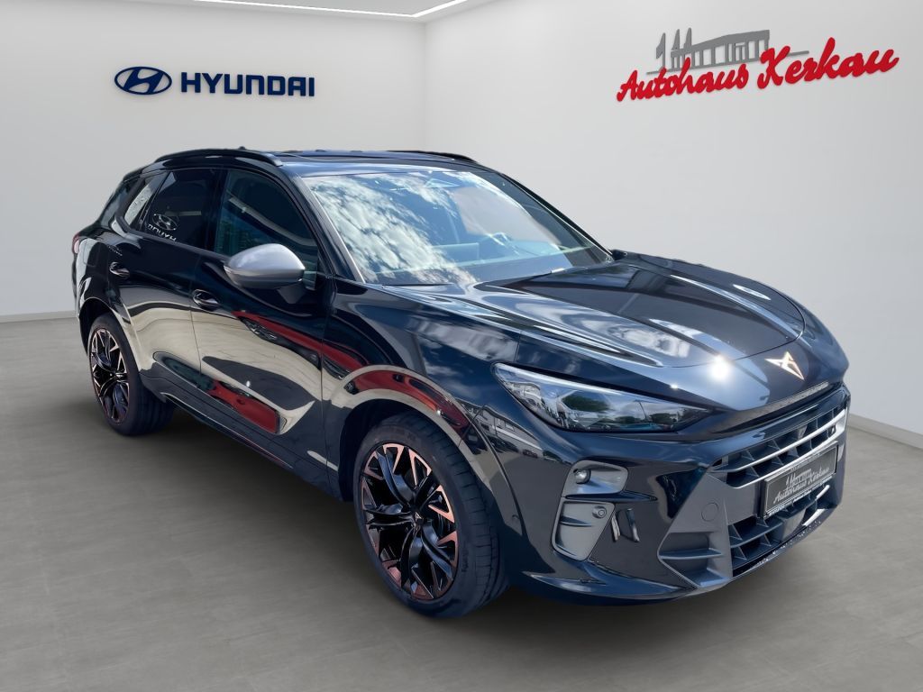 Fahrzeugabbildung CUPRA Terramar 2.0 TSI 4Drive DSG VZ