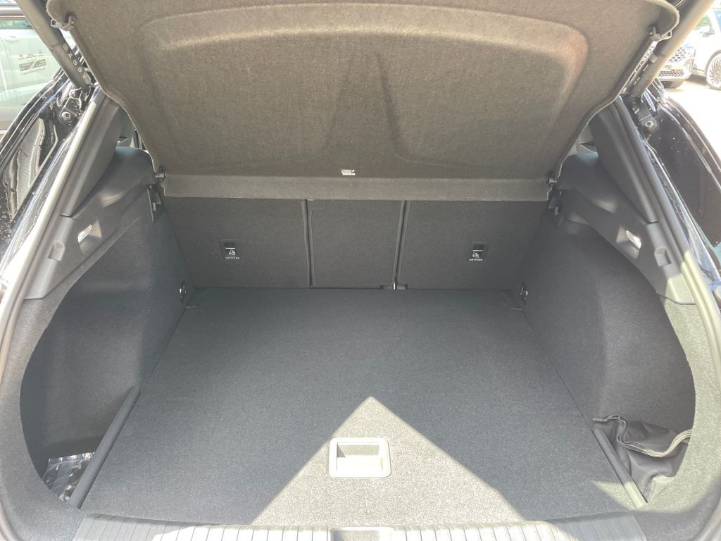 Fahrzeugabbildung CUPRA Terramar 2.0 TSI 4Drive DSG VZ