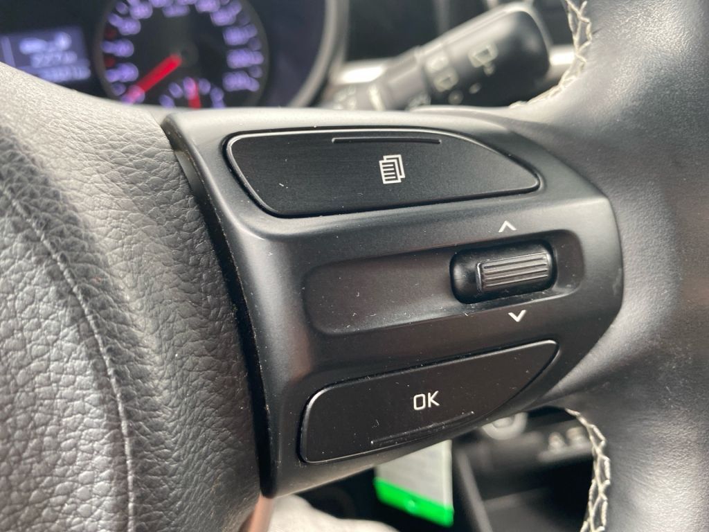 Fahrzeugabbildung Kia Picanto 1.0 ISG Dream-Team Edition +SHZ+LHZ