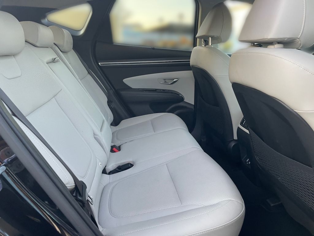 Fahrzeugabbildung Hyundai TUCSON 1.6 T-GDi PHEV 4WD Prime*Pano*ASS+*